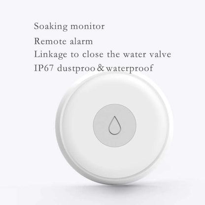 Doodle Smart Water Alarm – Real-Time Detection