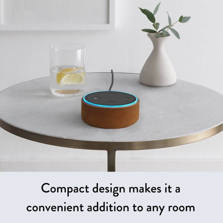 Amazon Echo Dot – Voice Control - DomoHive Store