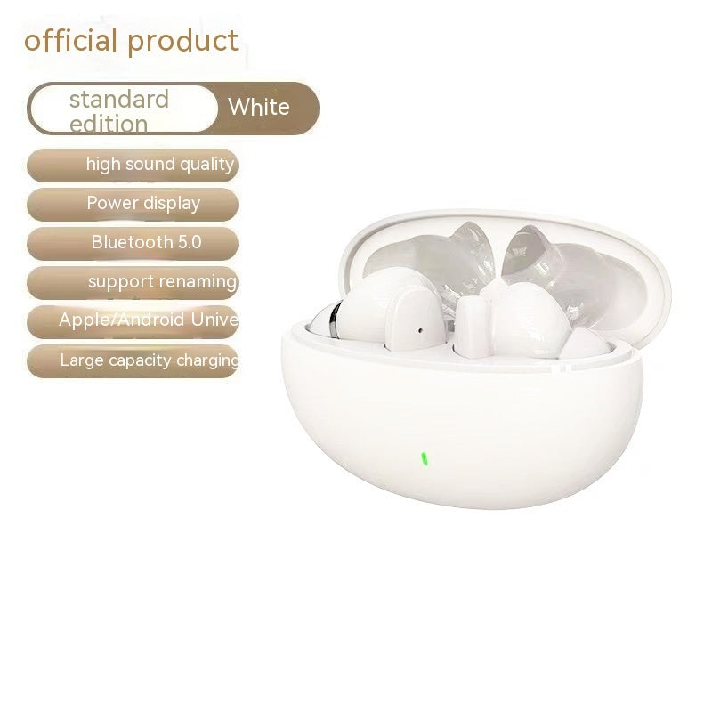 Wireless Bluetooth Earphones – Noise Reduction