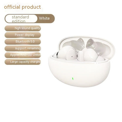 Wireless Bluetooth Earphones – Noise Reduction