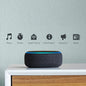 Echo Dot 4 – Smart English Learning - DomoHive Store